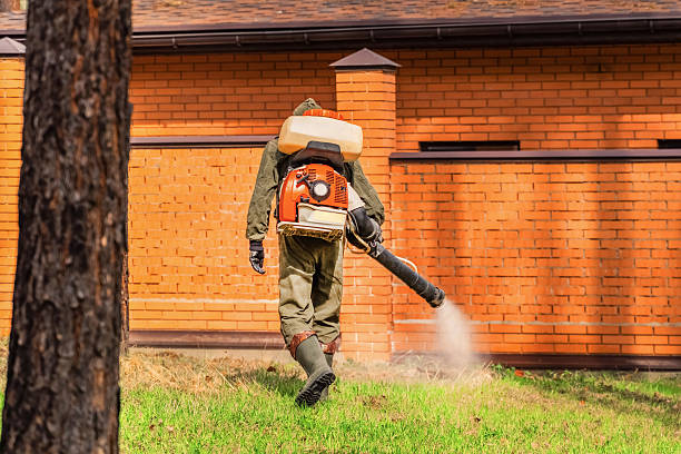 Trusted Ant Control service in Ottawa Hills, OH - Nex Pest Control